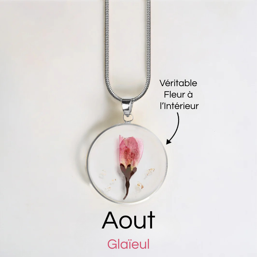 #Fleur de Naissance_Aout Glaïeul