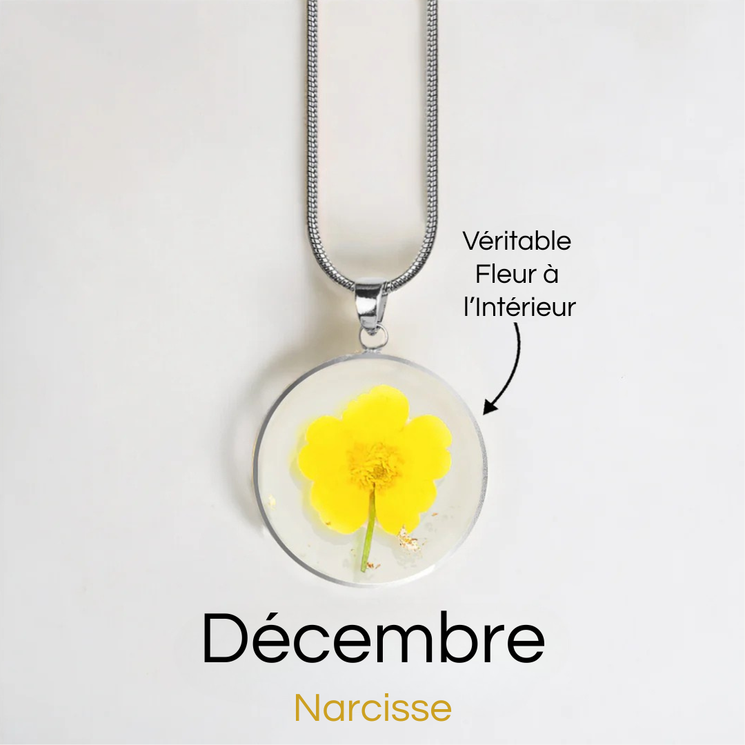 #Fleur de Naissance_Décembre Narcisse