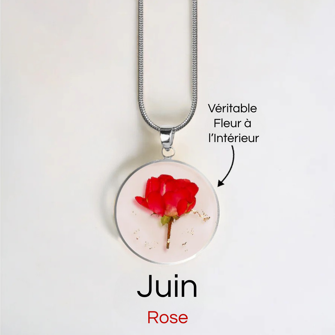 #Fleur de Naissance_Juin Rose
