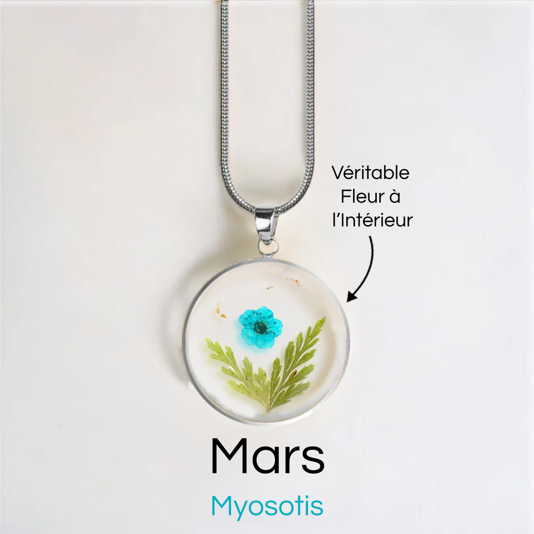 #Fleur de Naissance_Mars Myosotis