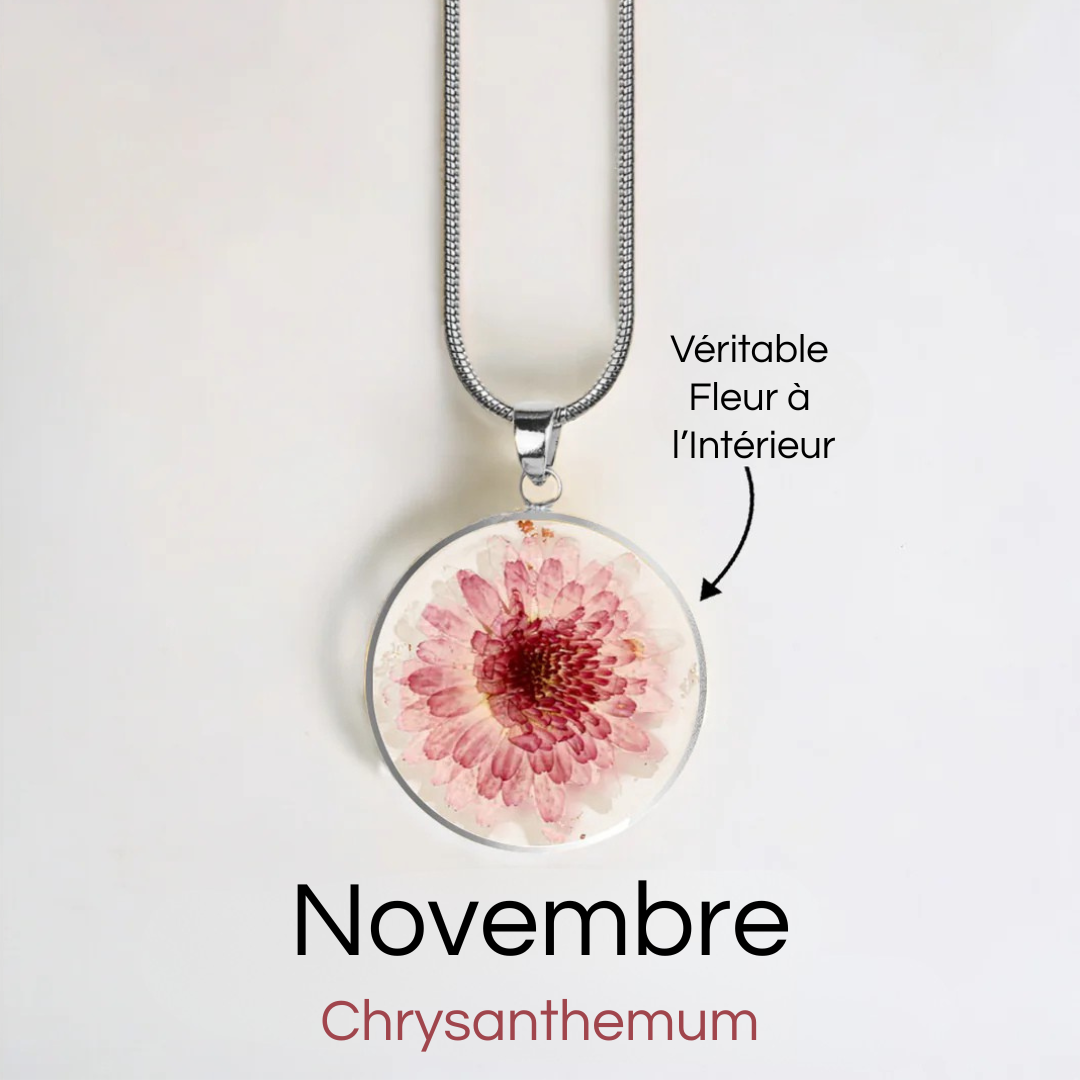 #Fleur de Naissance_Novembre Chrysanthemum