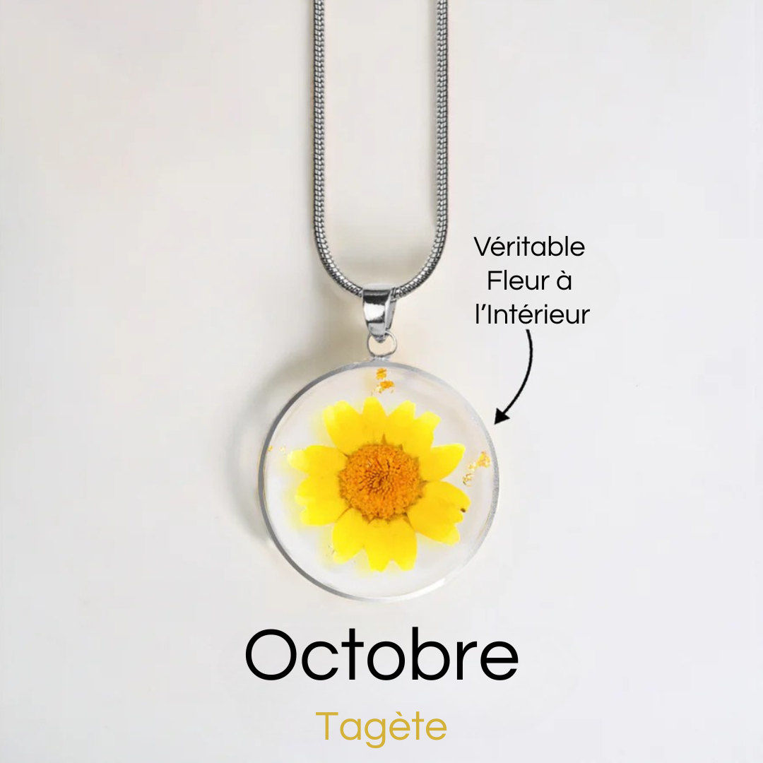 #Fleur de Naissance_Octobre Tagète