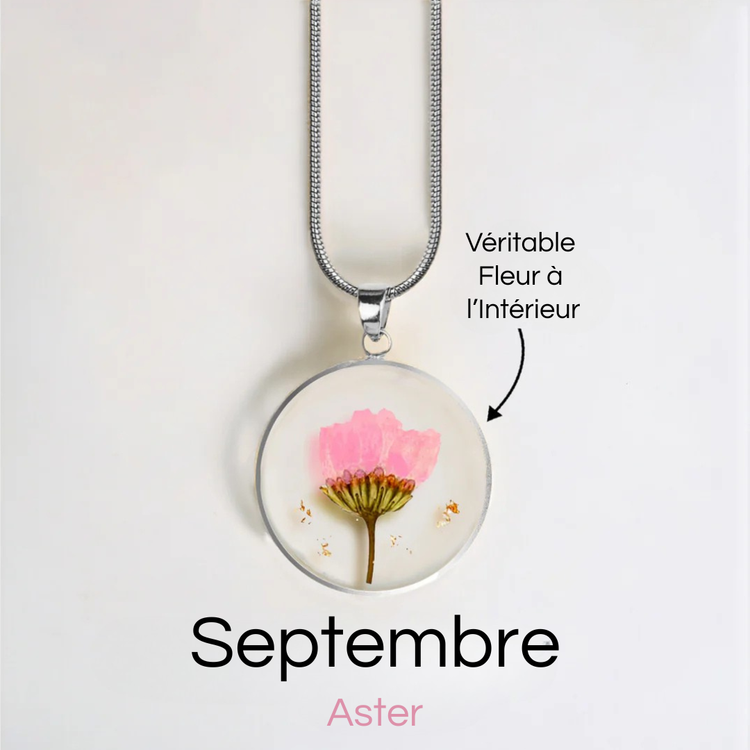 #Fleur de Naissance_Septembre Aster