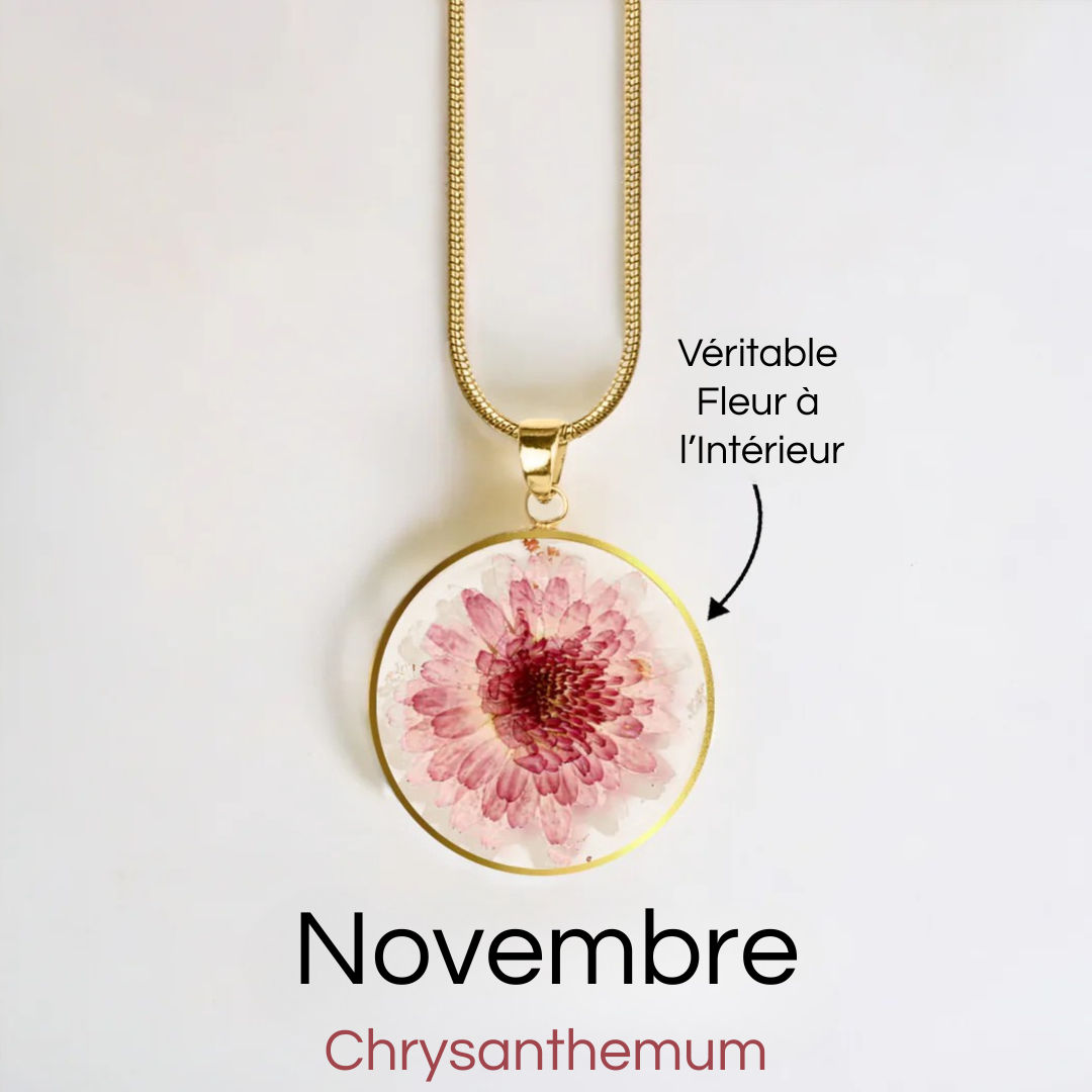 #Fleur de Naissance_Novembre Chrysanthemum