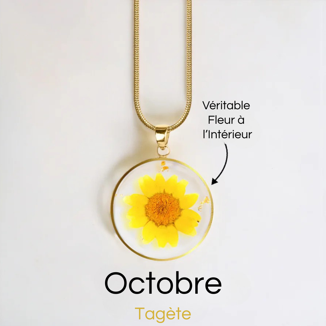 #Fleur de Naissance_Octobre Tagète