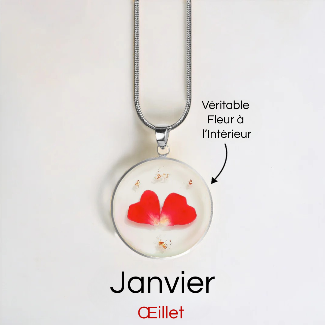 #Fleur de Naissance_Janvier Œillet