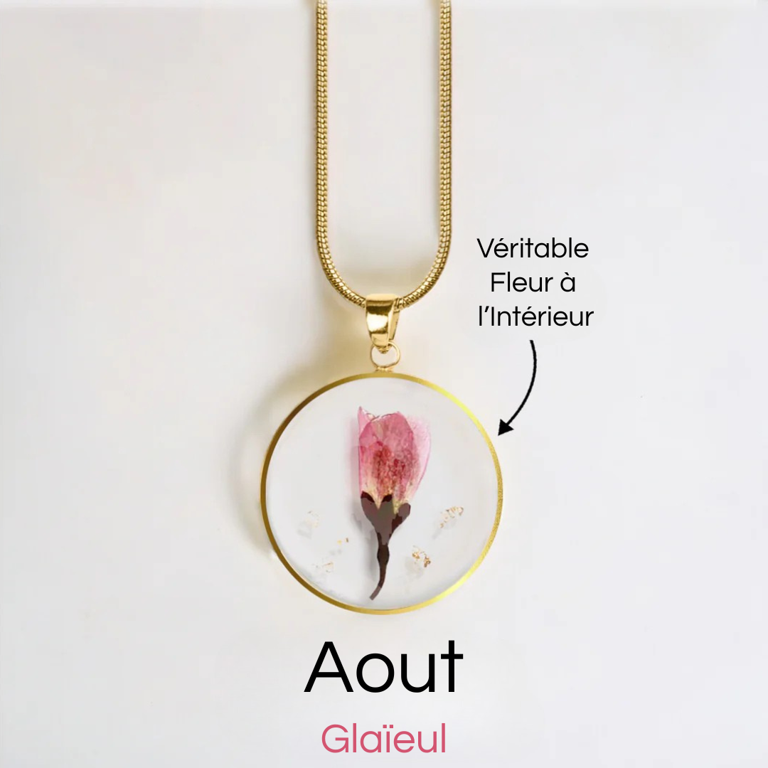 #Fleur de Naissance_Aout Glaïeul