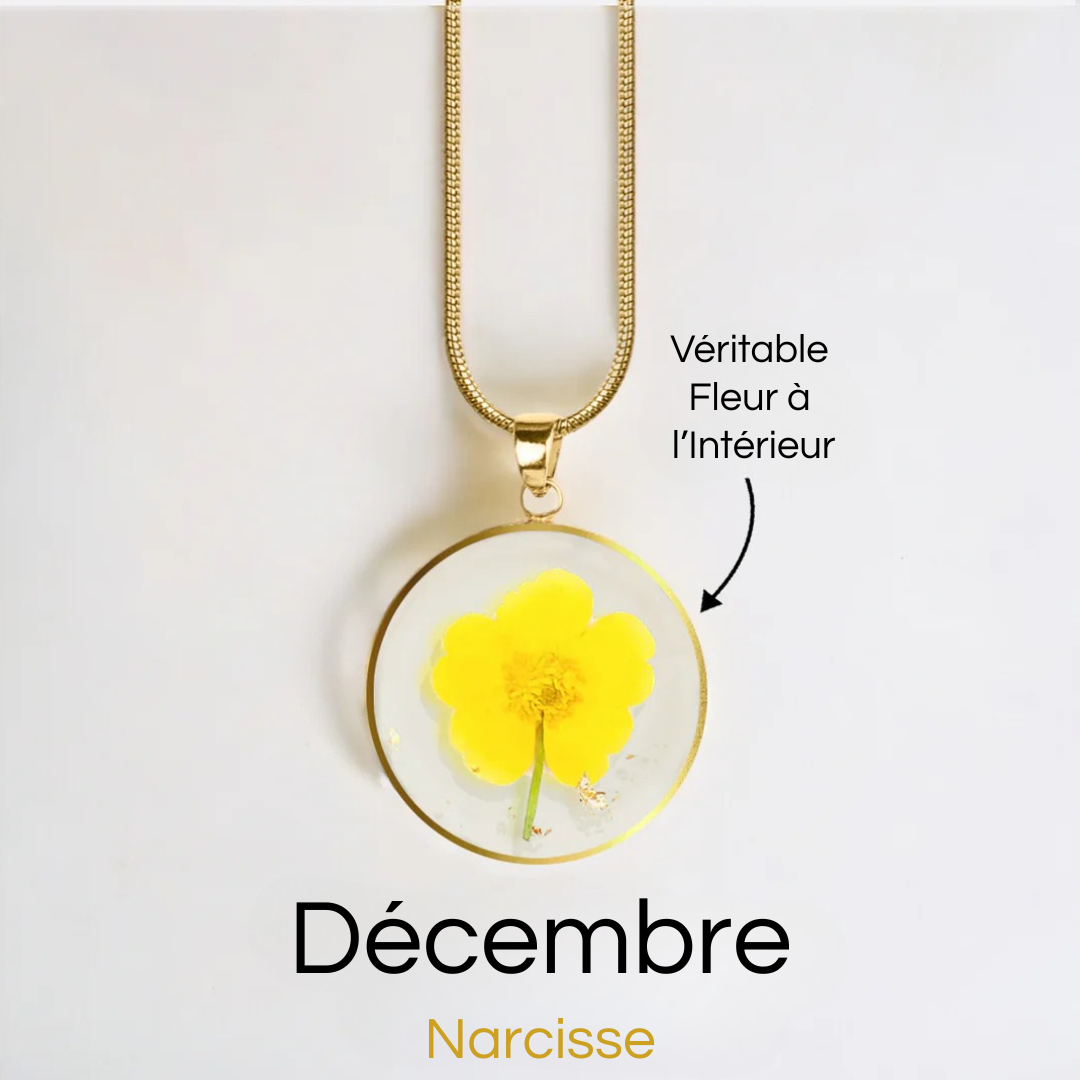 #Fleur de Naissance_Décembre Narcisse