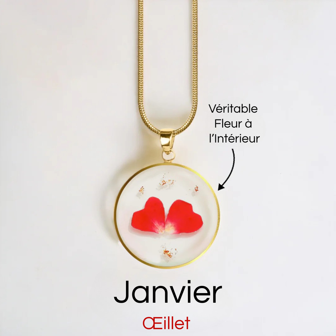 #Fleur de Naissance_Janvier Œillet