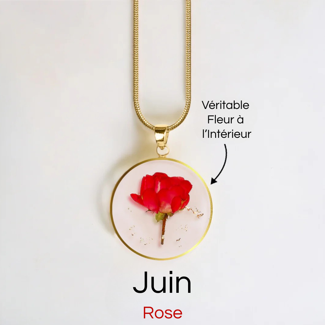 #Fleur de Naissance_Juin Rose