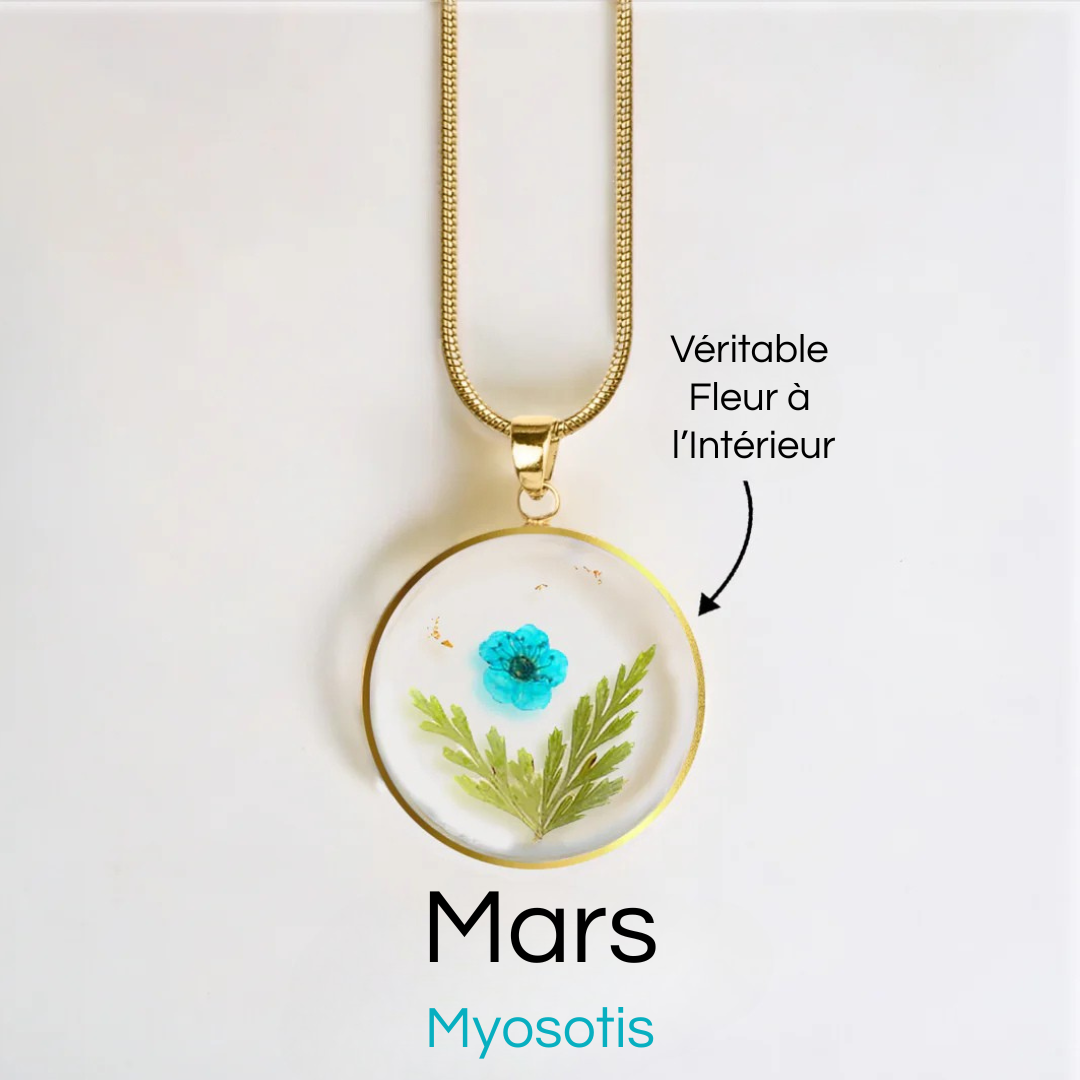 #Fleur de Naissance_Mars Myosotis