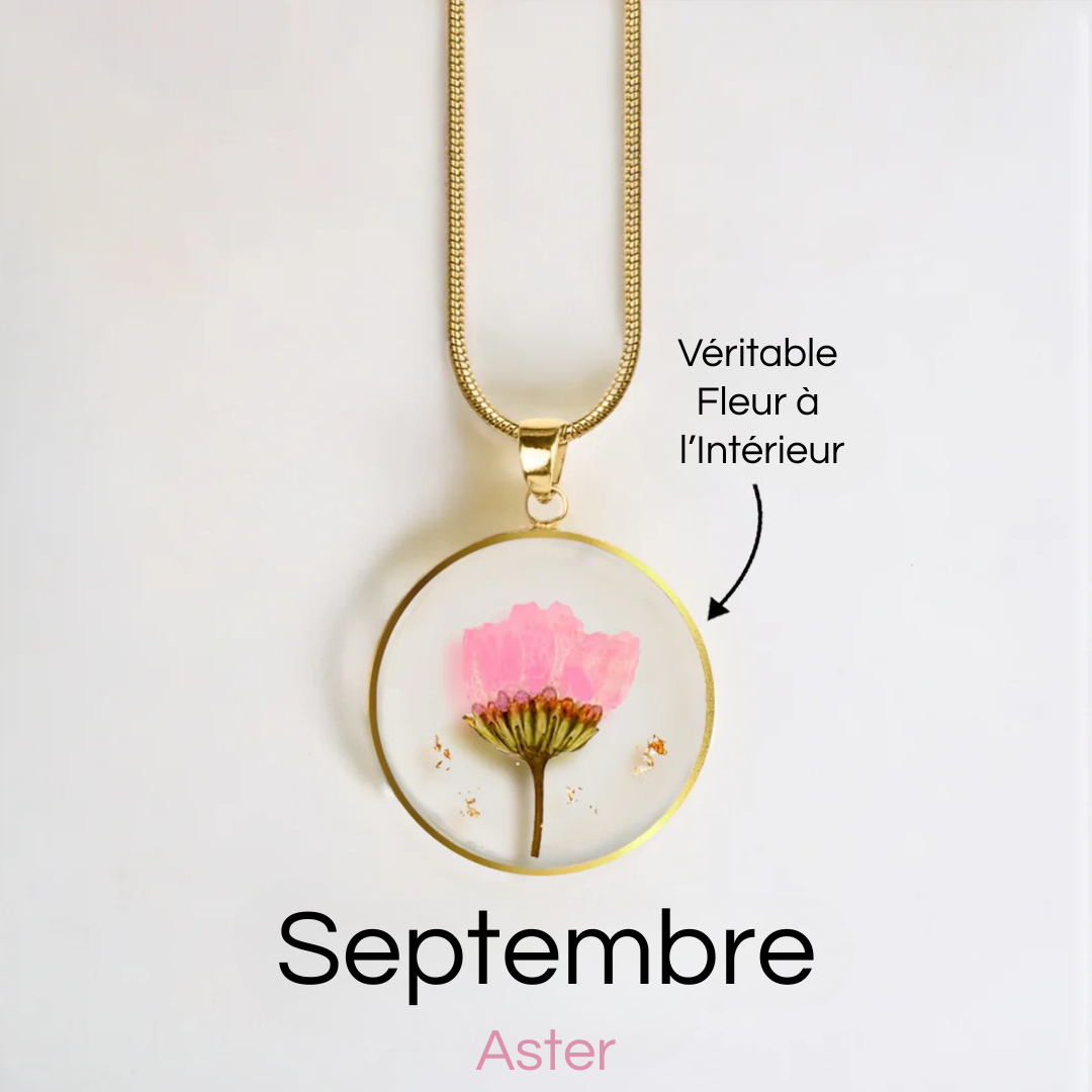 #Fleur de Naissance_Septembre Aster